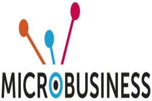 Micro Business