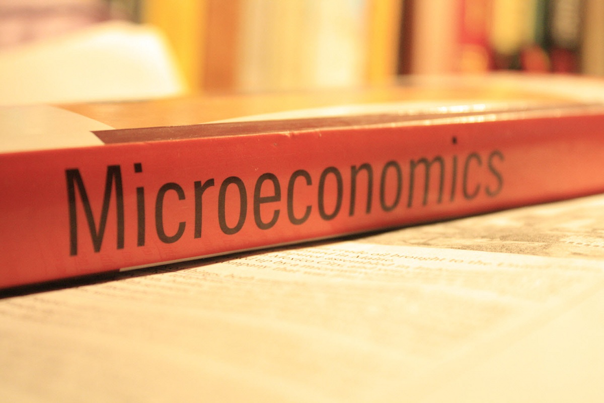 term paper micro economics