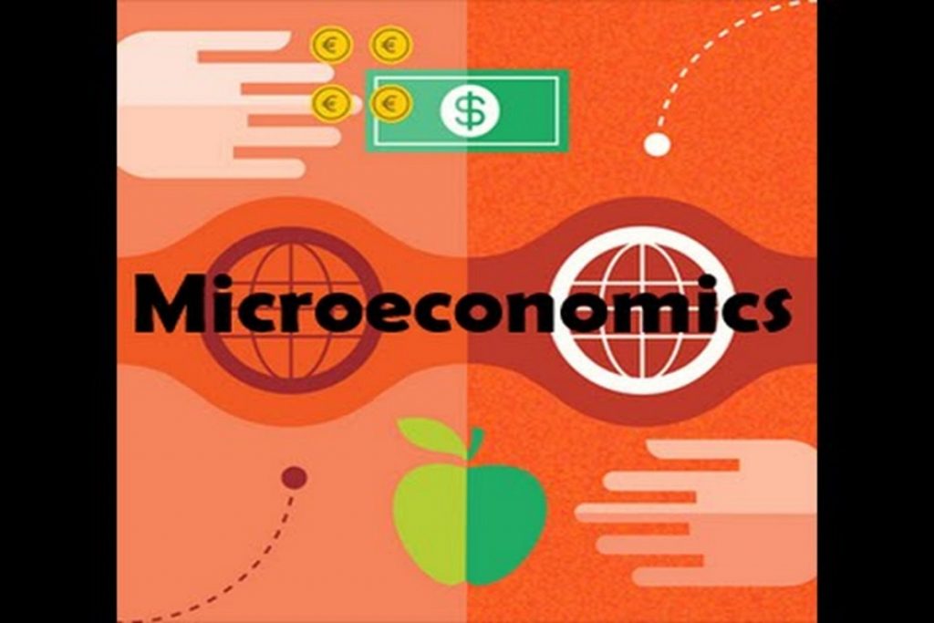 MicroEconomics