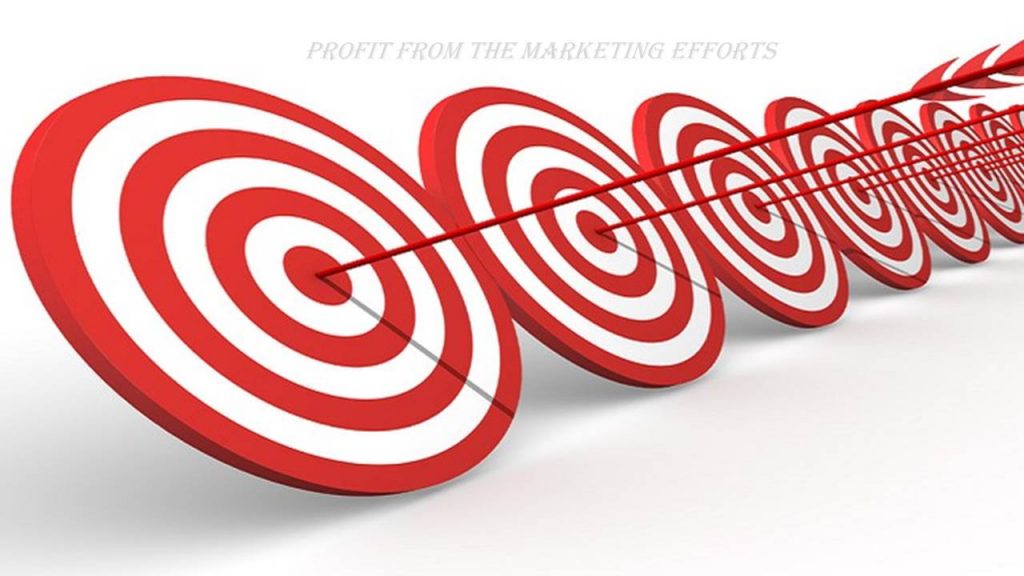 profit from the marketing efforts by solo ads