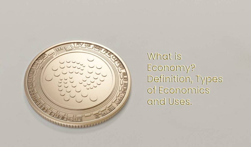 Economy Definition, Types of Economics