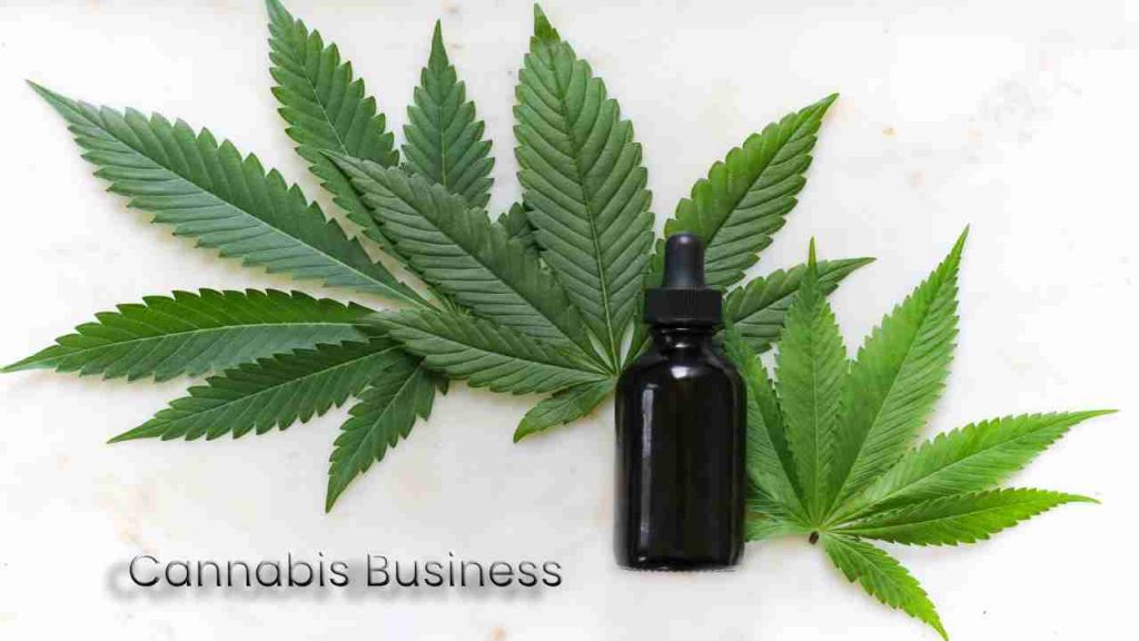 Cannabis Business