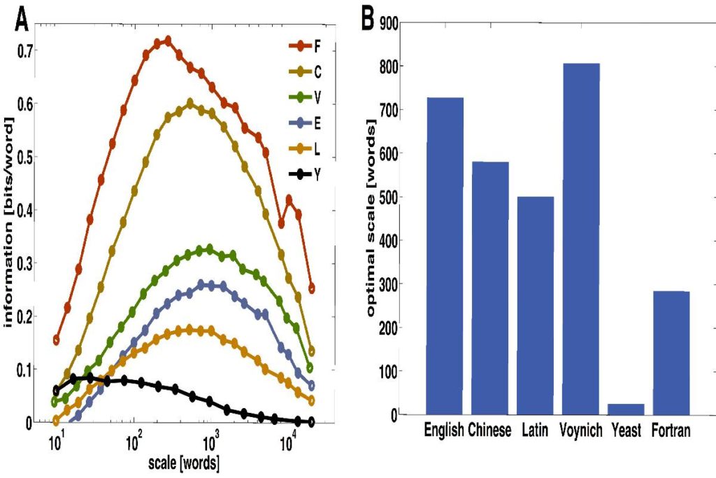 What is Co-occurrence? - Definition, Instructions, and More