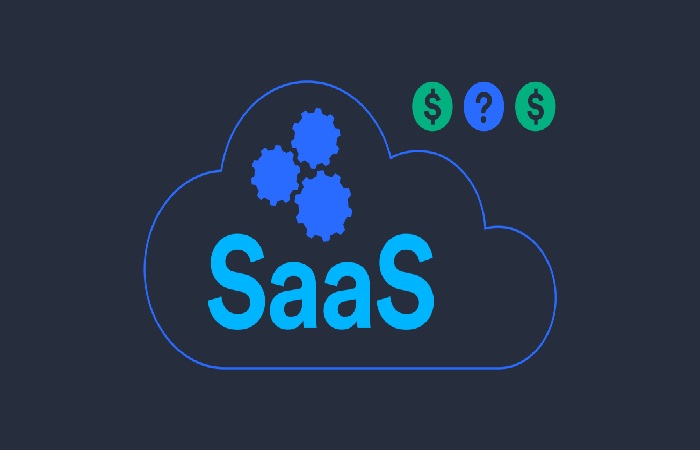 What is saas