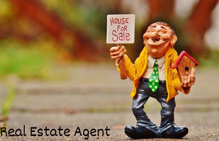 Real Estate Agent