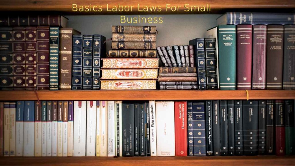 Labor Law Basics That Every Small Business Owner Should Know