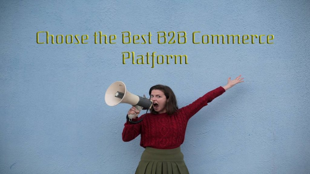 How to Choose the Best B2B Commerce Platform