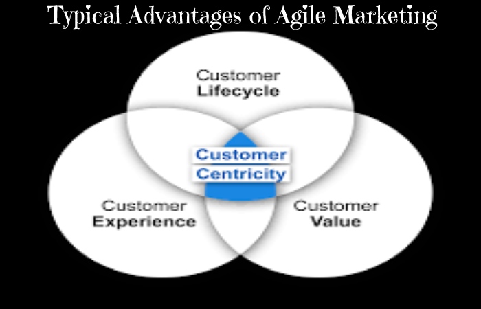 Agile Marketing (2)