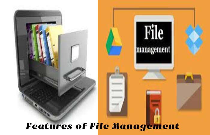 File Management (1)