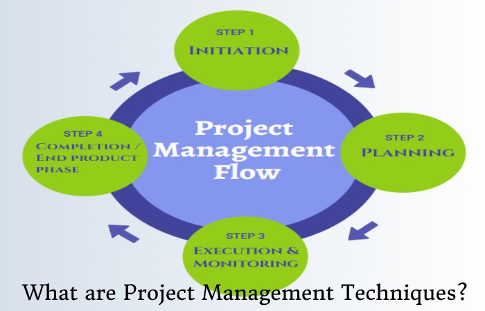 Project Management Techniques 