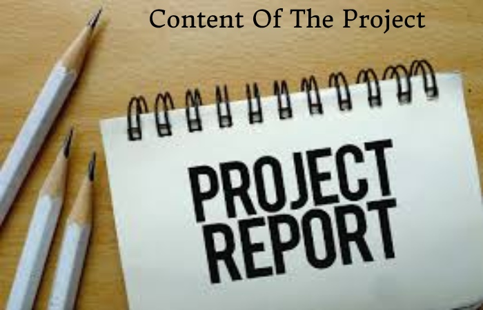 project report on education industry