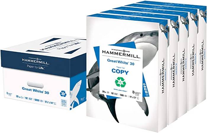 Truckload of Hammermill Great White Printer Paper Most Expensive Things on Amazon