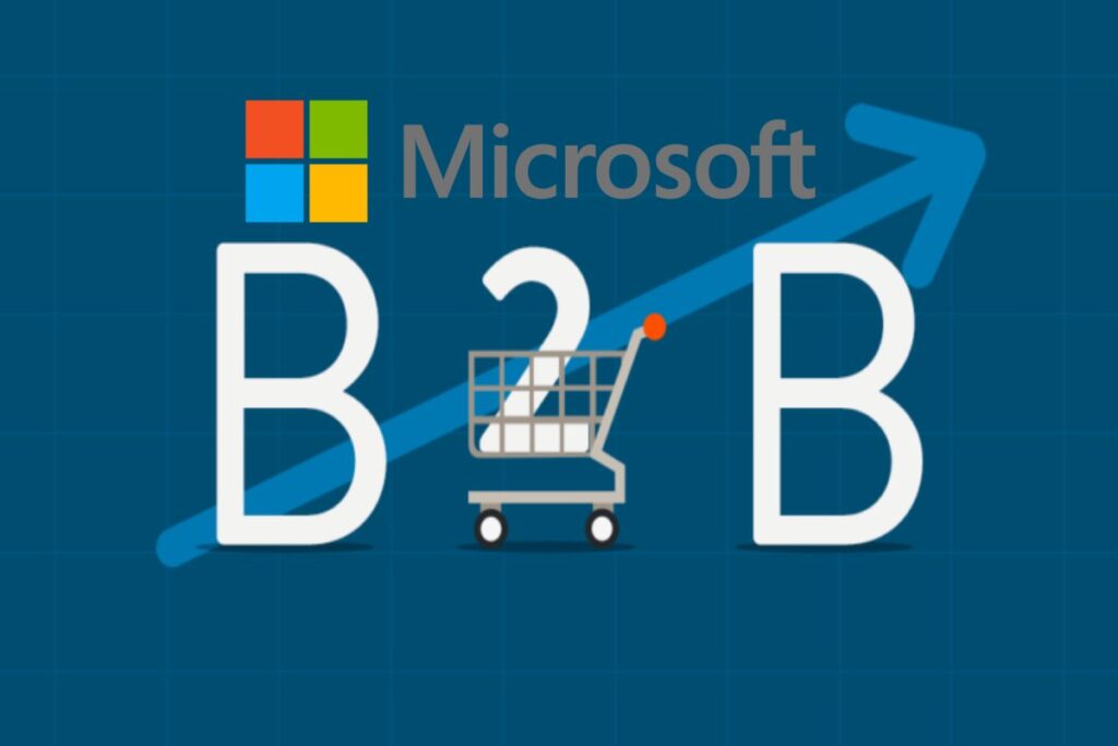 A Guide to the Microsoft E-Commerce Platform for B2B Entrepreneurs