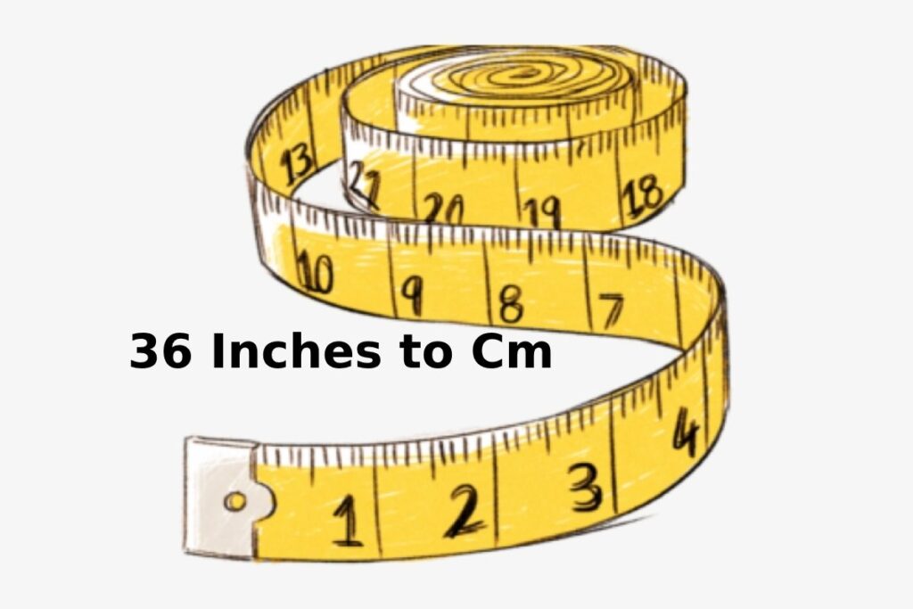 36 Inches to Cm