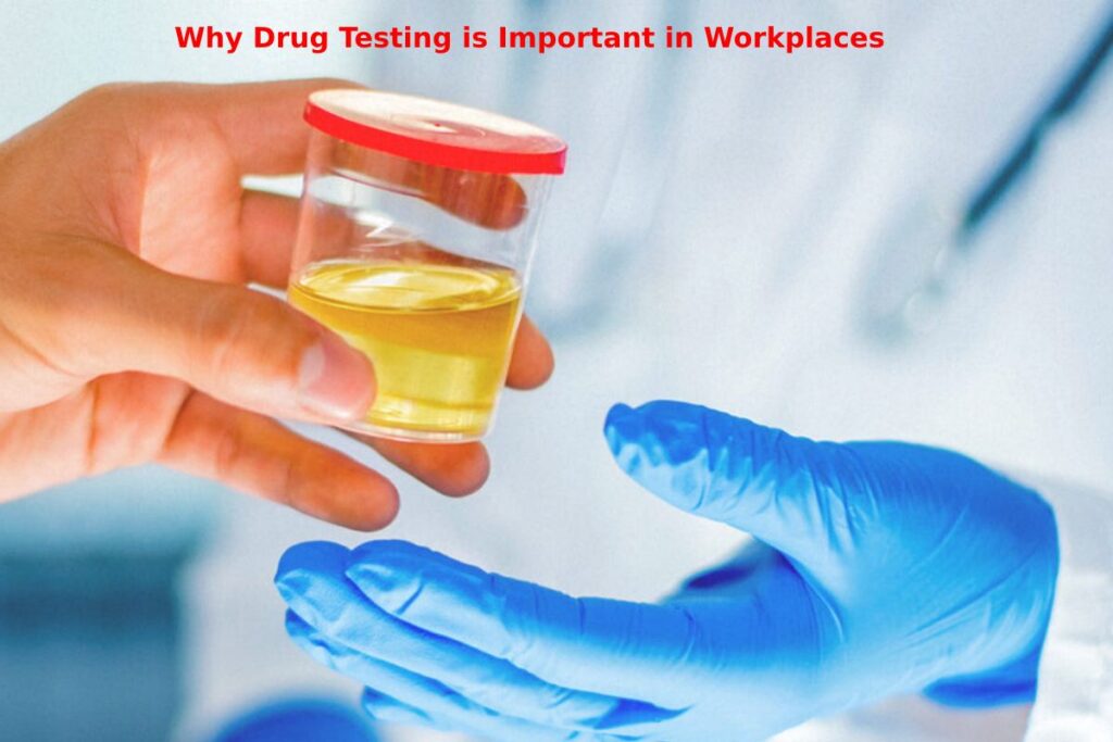 Drug Testing is Important in Workplaces