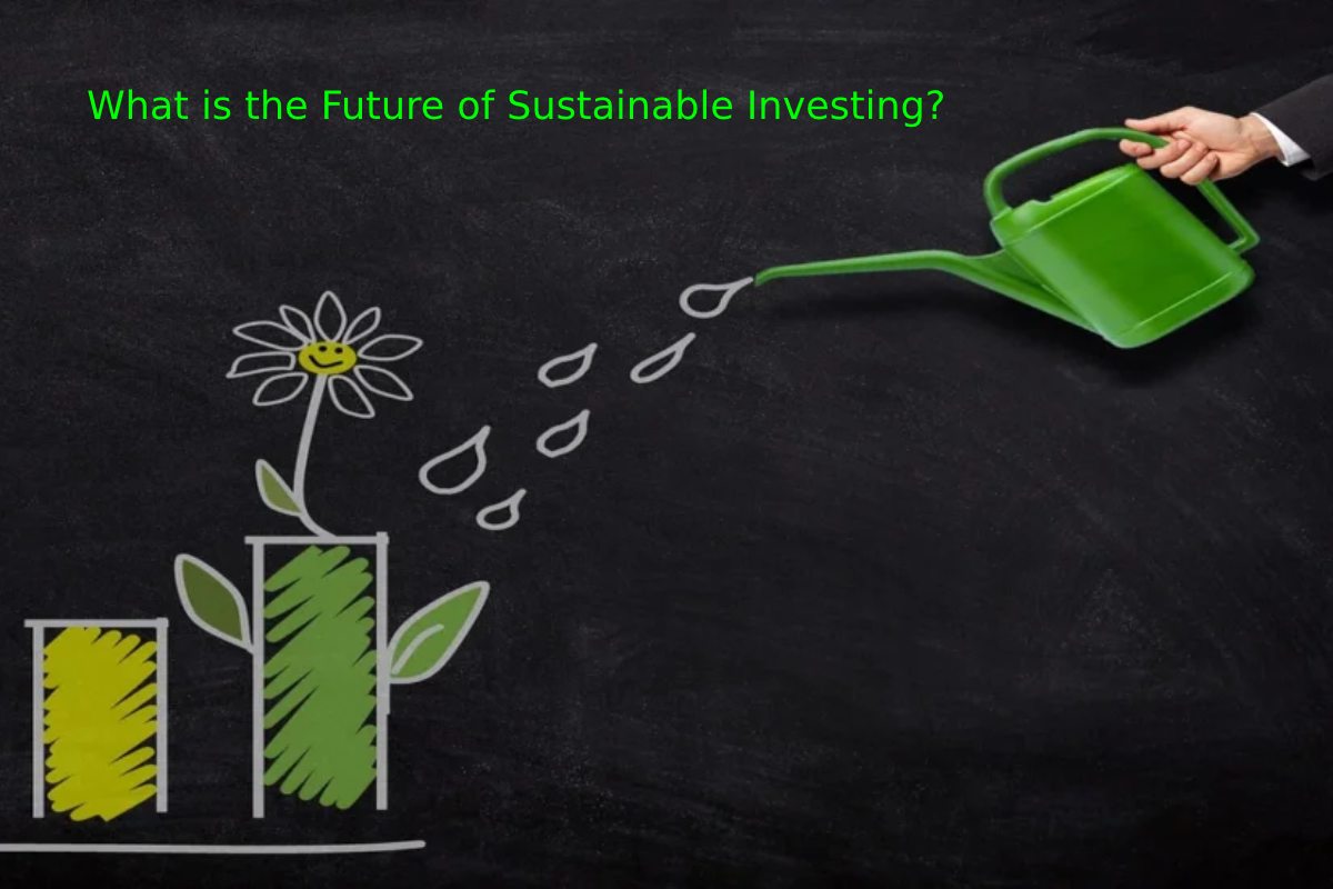 What is the Future of Sustainable Investing?