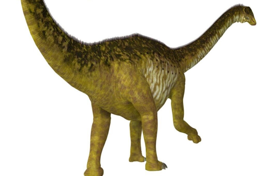 Nigersaurus