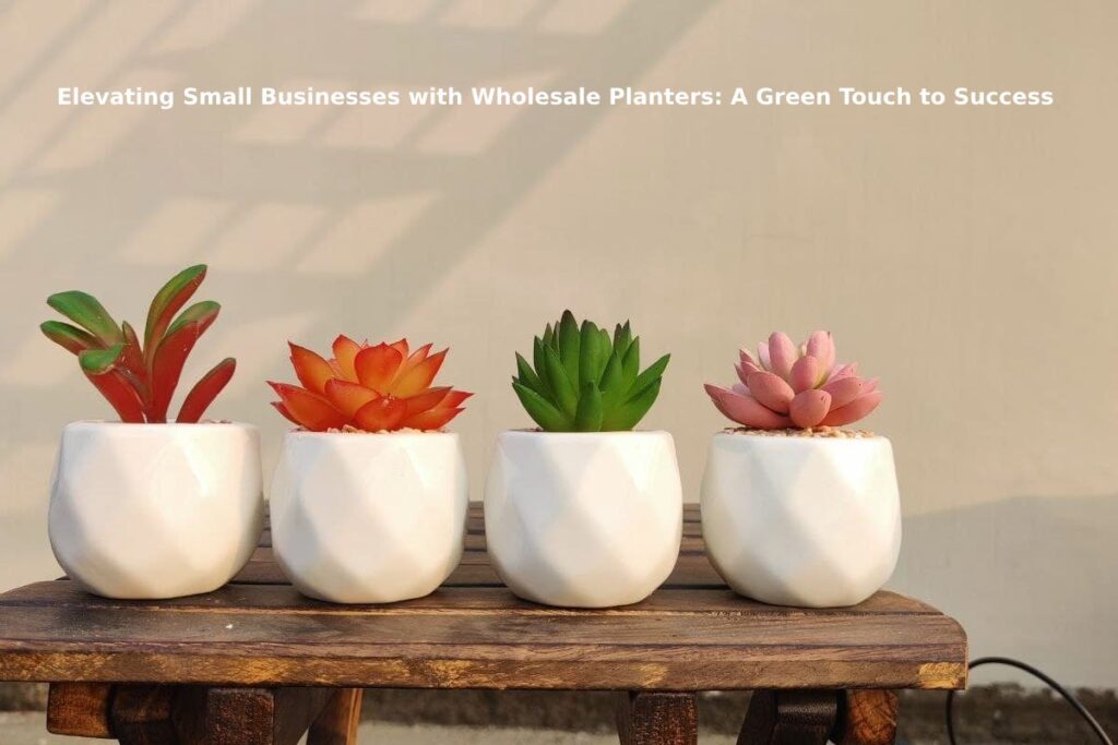 Elevating Small Businesses with Wholesale Planters: A Green Touch to Success
