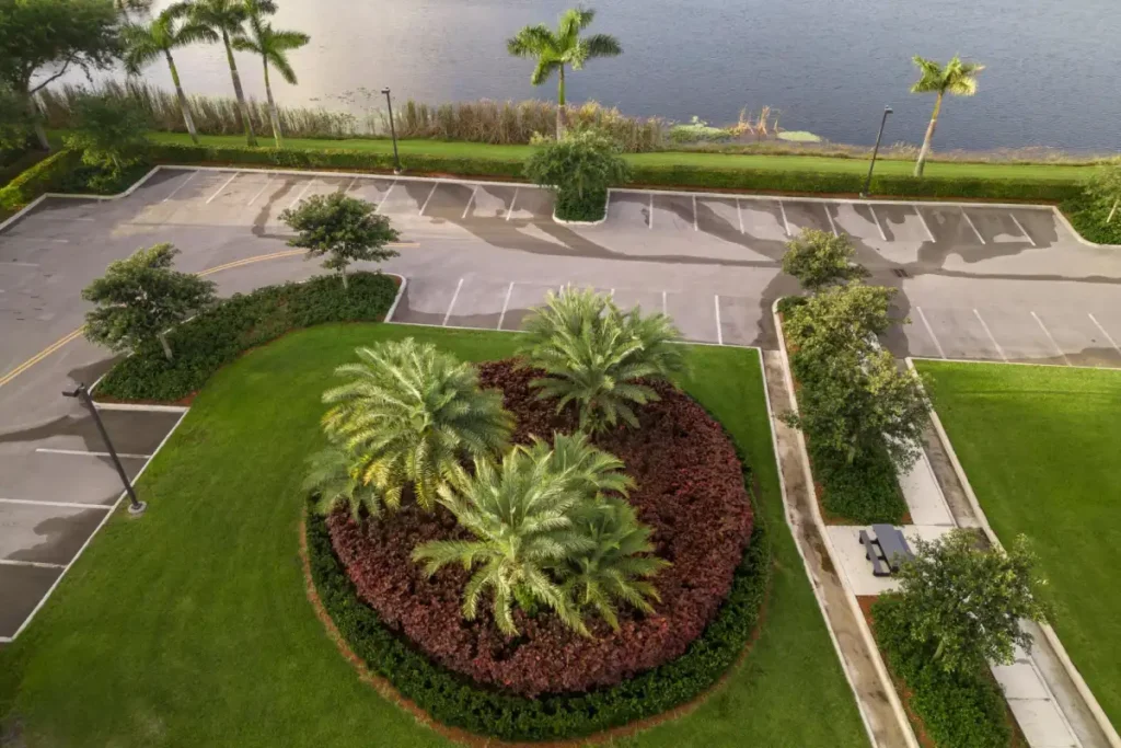 Crafting the Perfect Florida Garden with a Touch of Innovation