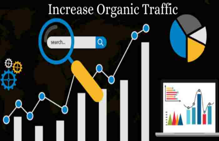 Increased organic traffic to the website
