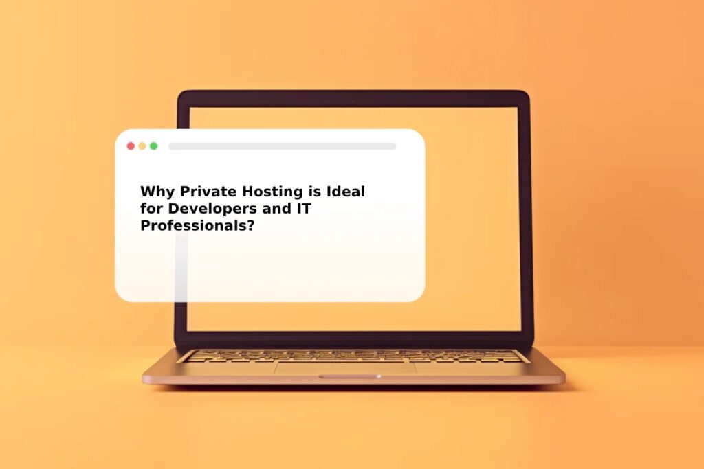 Why Private Hosting is Ideal for Developers and IT Professionals?
