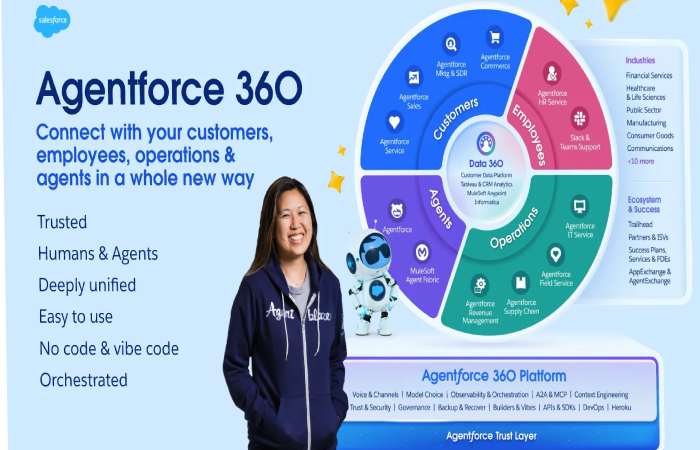 What is an Internal SalesForce_