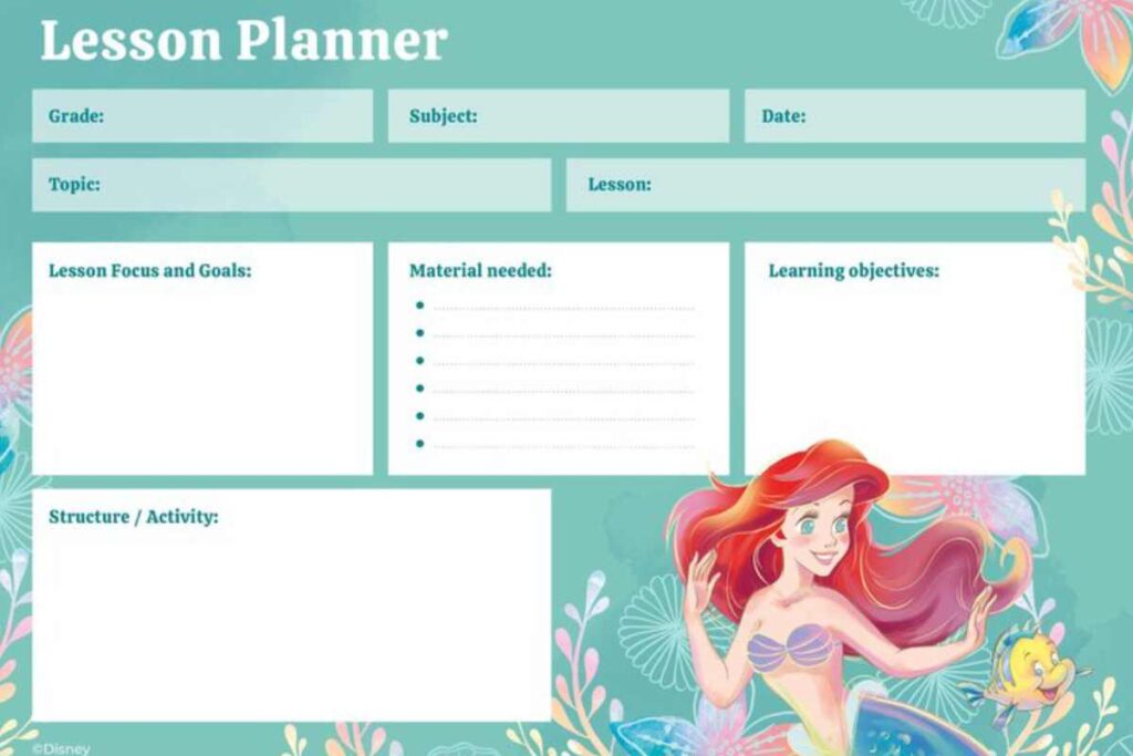 5 Important Duties of a Disney Travel Planner Disney Travel Planner