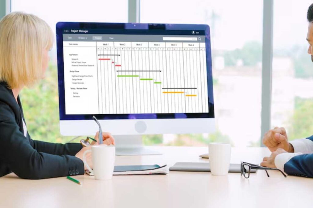 Gantt Chart Software