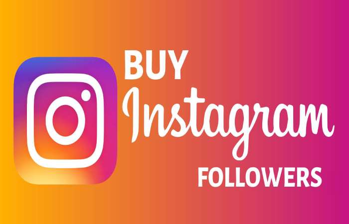 How to Buy Instagram Followers_pros and cons.