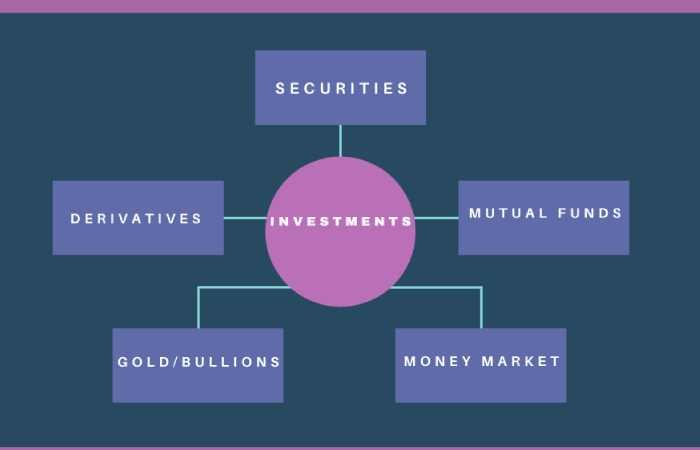 Key Characteristics of an Investment Project