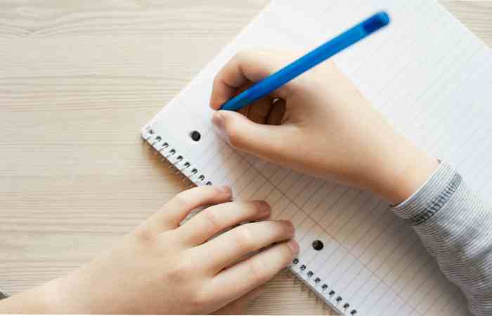 Educational Program (1)