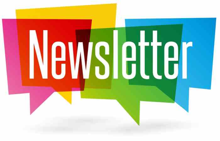 Newsletter Write For Us