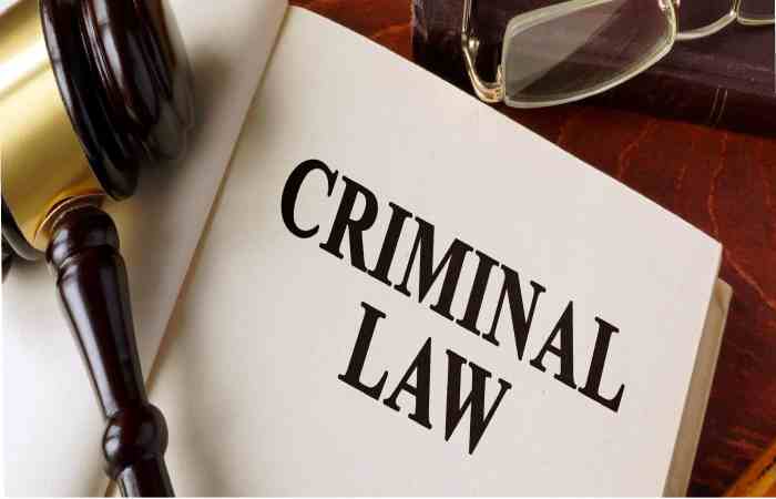 Criminal Law (2)