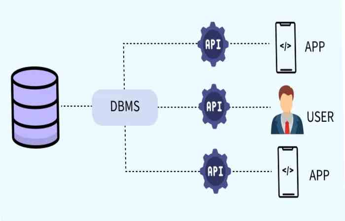 DBMS