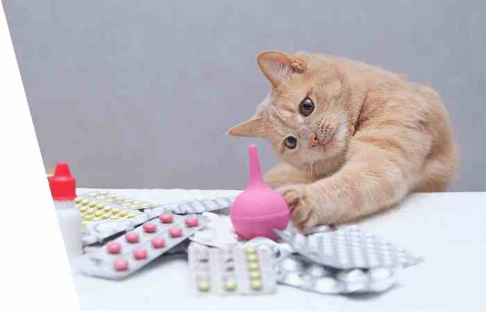Pets Pharmacy
