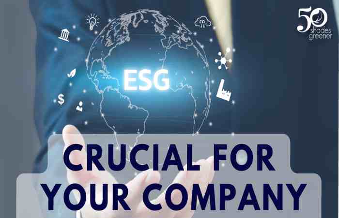 Why ESG Sustainability Reporting has Become So Critical to Business Success (1)