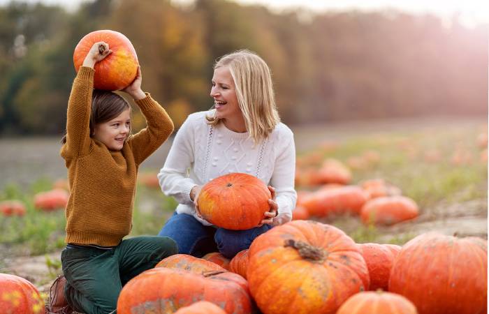 Fall Activities