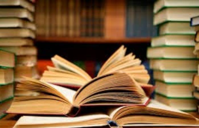 studies (1)