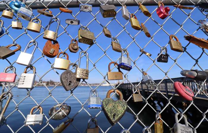 Chain Link Fence Lock