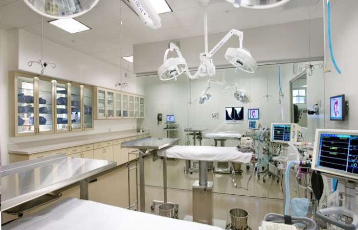 Veterinary Market