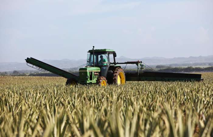 Agricultural
