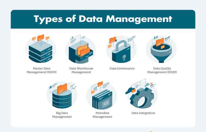 Data Management
