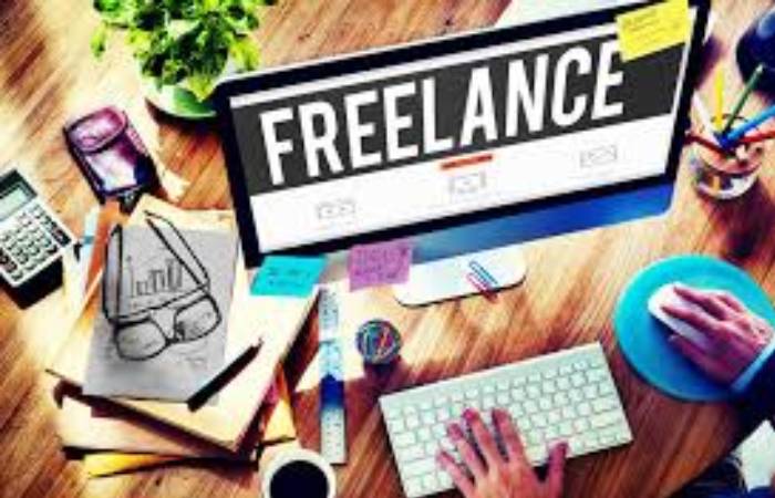 Freelance Web Developer