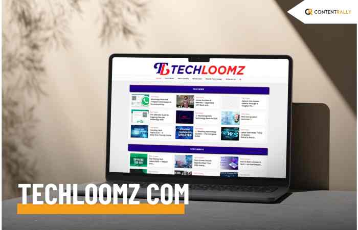 techloomz com (1)