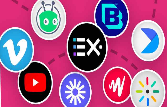 Video Platforms (1)