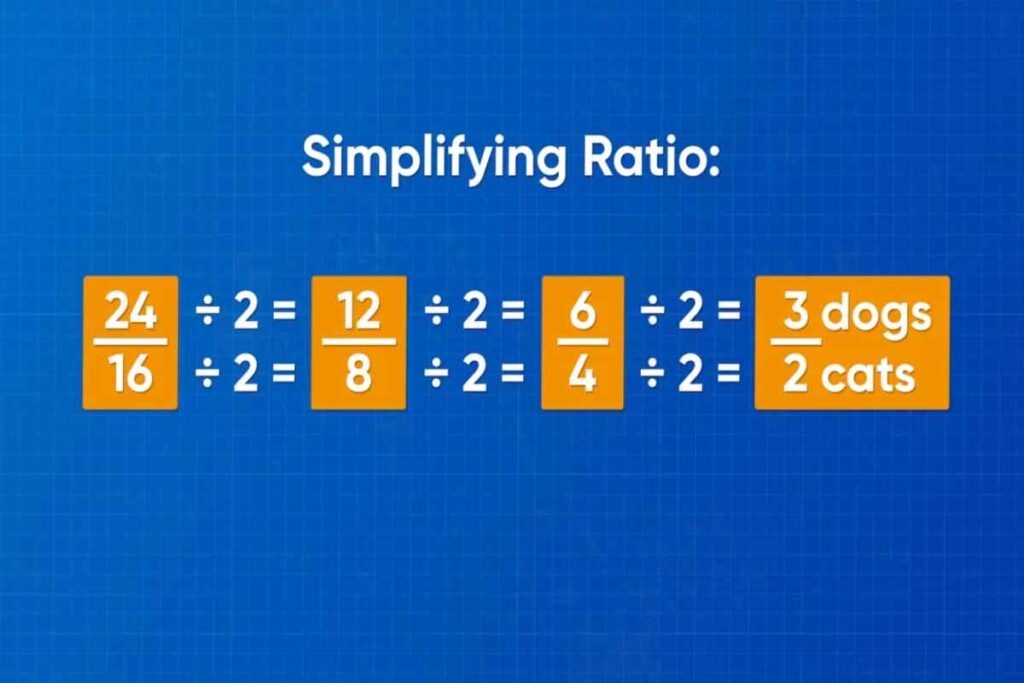What is Ratio? Find Some Aspect of Ratio. ratio (1)