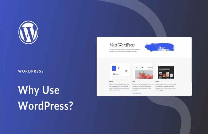 wordpress wisestudyspot .com (1)