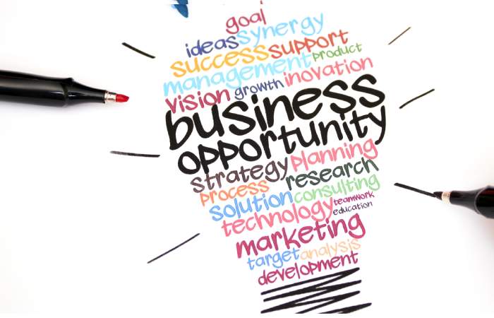 Business Growth Frameworks_ The Ultimate Guide to Growing Your Start-up or Business