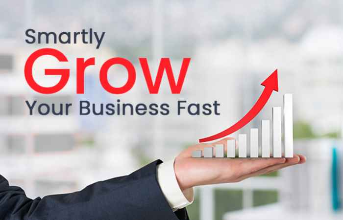 Small Business Growth and Entrepreneurship Guide (1)