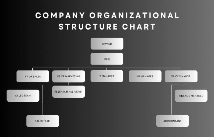 What Is a Company Structure_
